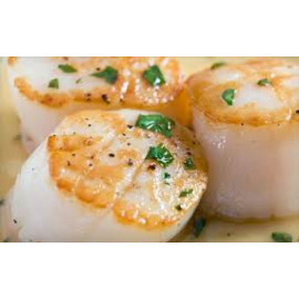 Scallops 40-60 (5lbs)