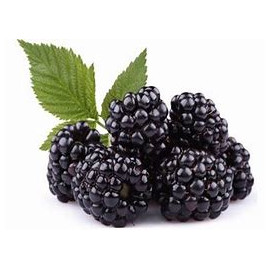 blackberry.jpg