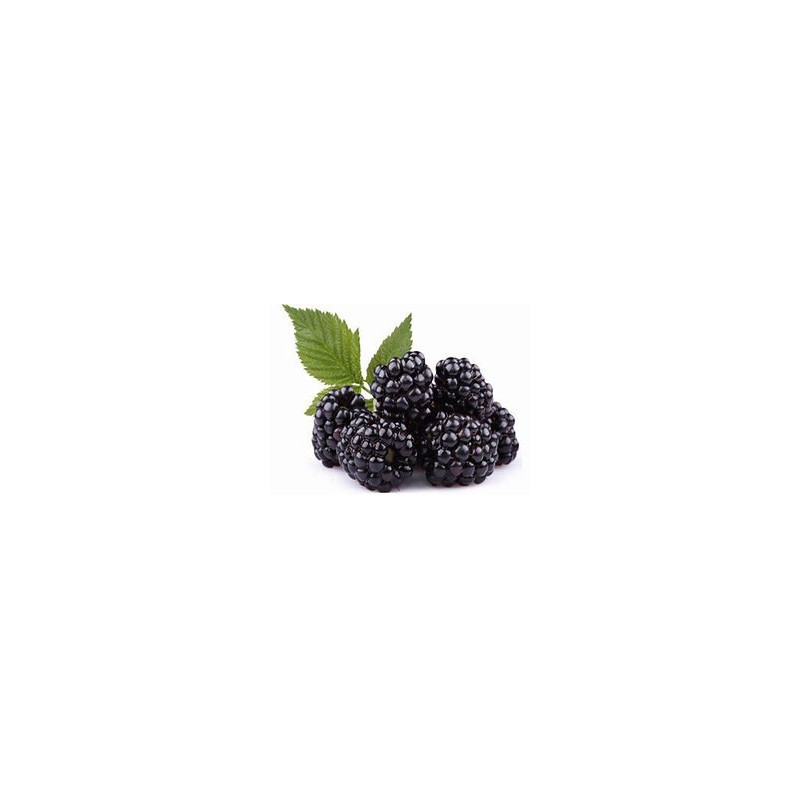 blackberry.jpg