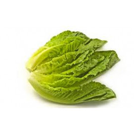 Romaine california lettuce