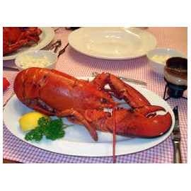 Lobster 25  carcass PER LBS