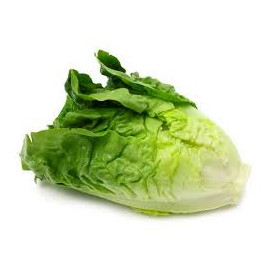 Lettuce iceberg naked 24ct