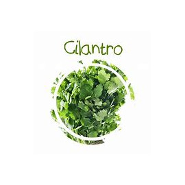 cilantro.jpeg