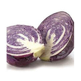 Red cabbage 45