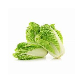 Chinese cabbage 35