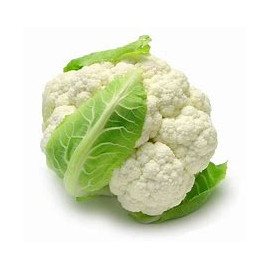 White cauliflower 12-16