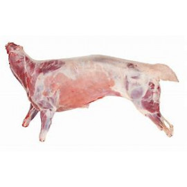 Lamb whole carcazas PER KG