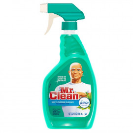 mr-clean-all-purpose-cleaners-003700016356-64_1000.jpg