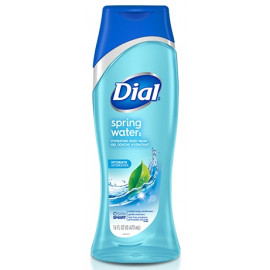 DIAL BW Spring Water 16oz.jpg