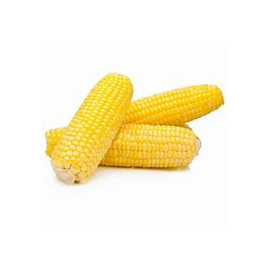 corn yellow.jpg