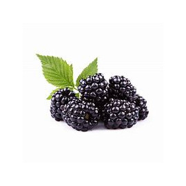 BLACKBERRIES.jpg