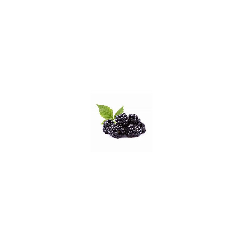 BLACKBERRIES.jpg