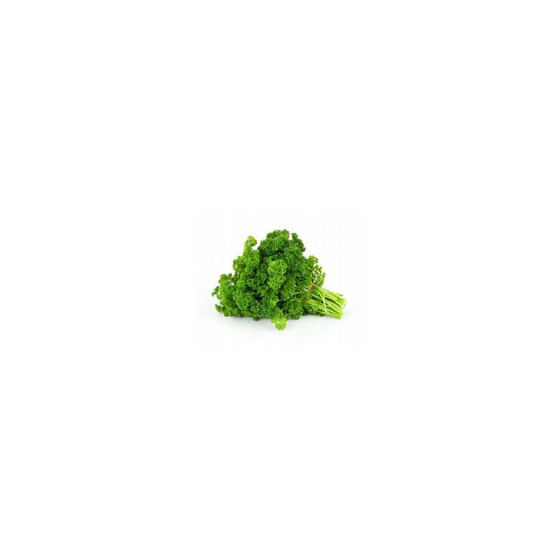 parsley.jpg