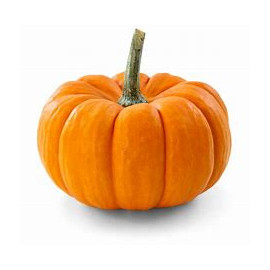 pumpkin.jpg