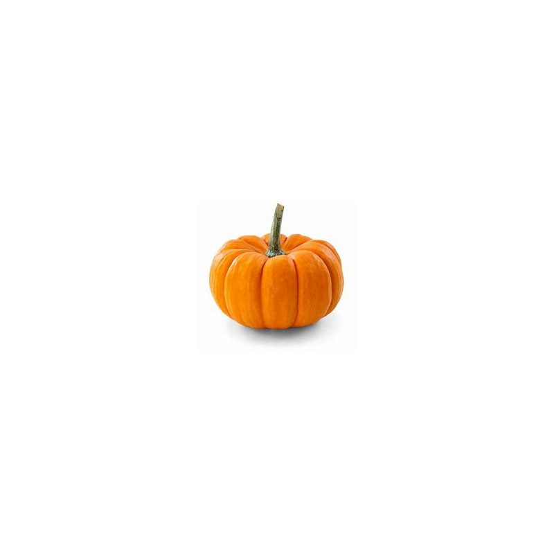 pumpkin.jpg