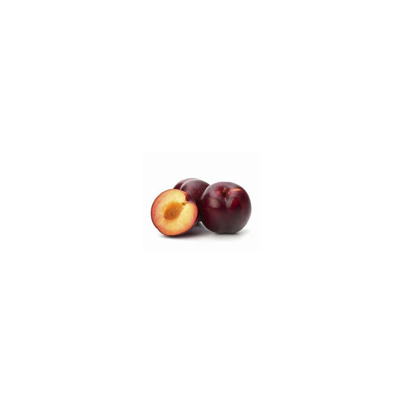 plums red.jpg