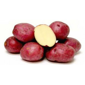 Potatoes red 10/5lbs