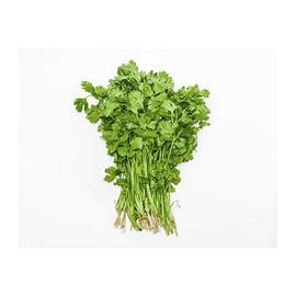 Cilantro herb 60ct