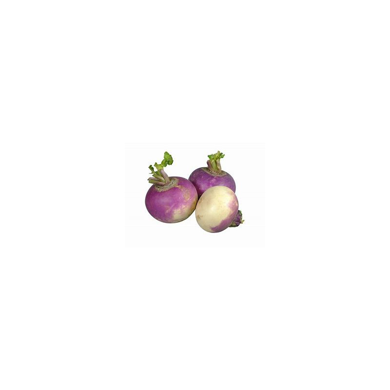 turnips.jpg